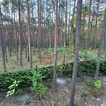 Rekreacyjny Doran