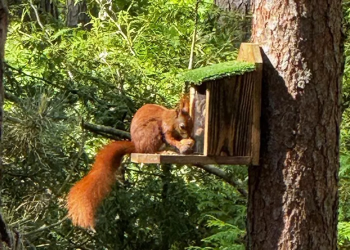 度假居 Rekreacyjny Doran *